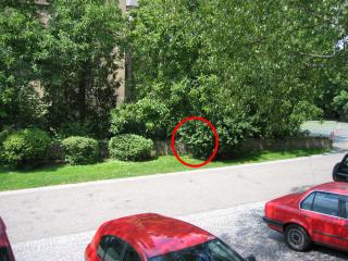 Blick vom Soldaten-Denkmal! Noch 15m bis zum Cache....